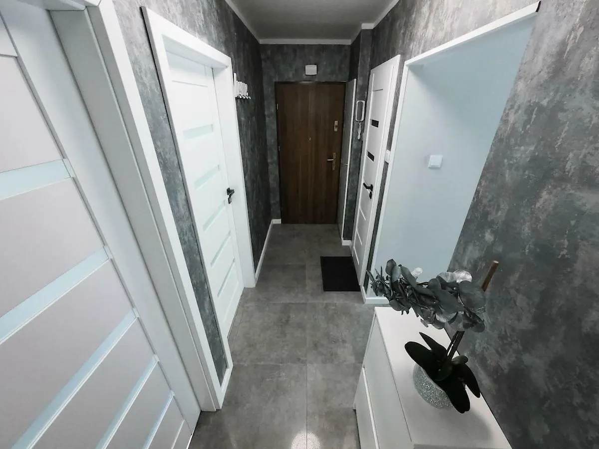 New Apartment - 300 M Town Hall - 3 Rooms - 7 People Breslavia Polonia